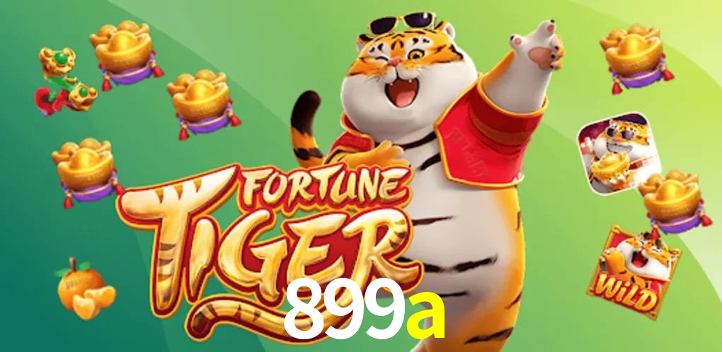 Experiência VIP 899a